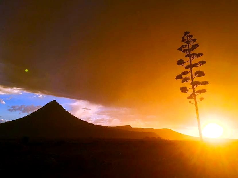 Karoo-sononder
